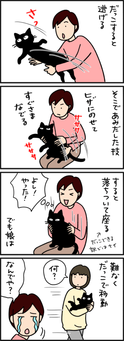 黒猫ナノとキジシロ猫きなこの4コマ猫漫画