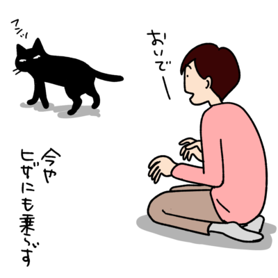 黒猫の漫画