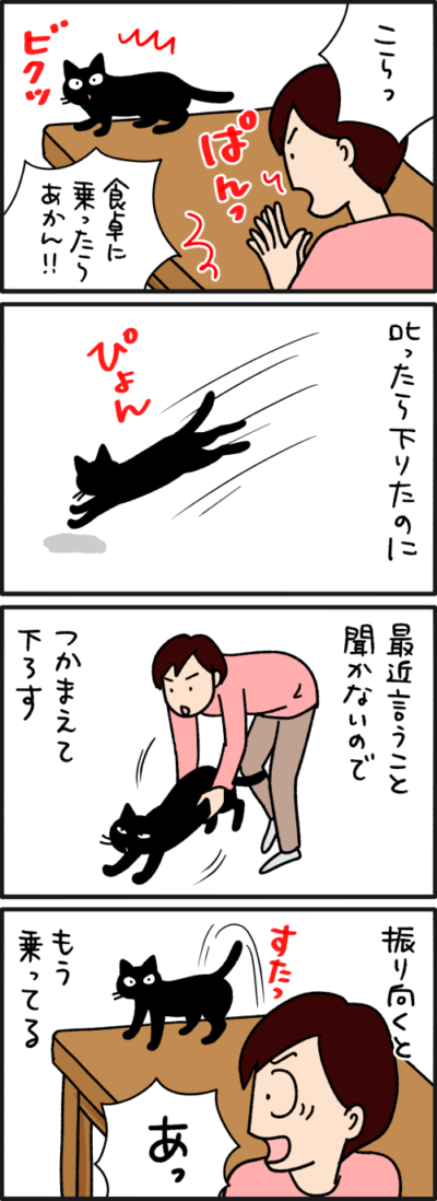 黒猫の漫画