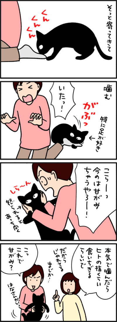 ねこ漫画