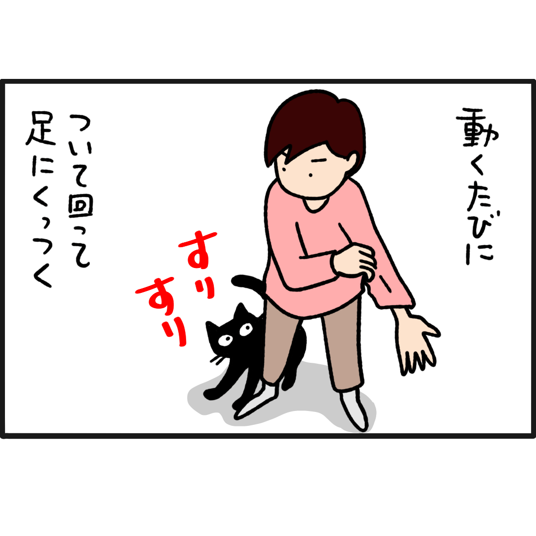 猫漫画