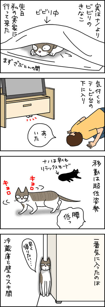 ビビる猫の4コマ漫画
