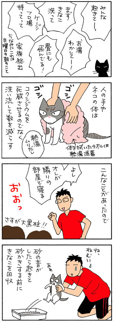 コクシジウムウンチ戸の戦いの猫漫画