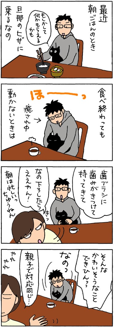 猫を溺愛する旦那の4コマ猫漫画