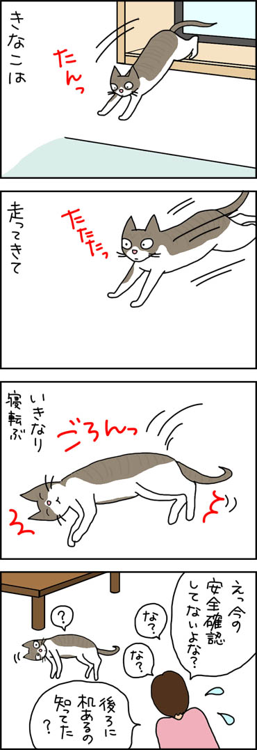 せっかちな猫が寝転ぶ4コマ猫漫画