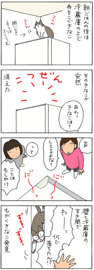 冷蔵庫と壁のすき間に落ちる猫の4コマ漫画