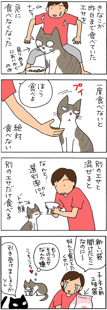 エサを食べなくなった猫の4コマ漫画
