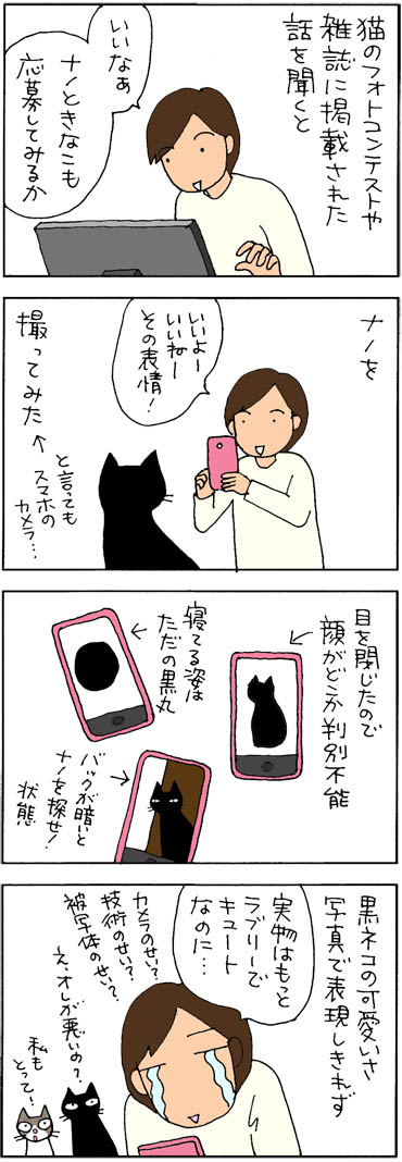 フォトコンテストを目指す4コマ猫漫画