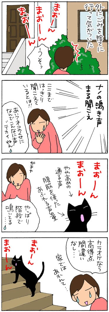 鳴き声が近所に聞こえているネコの4コマ漫画