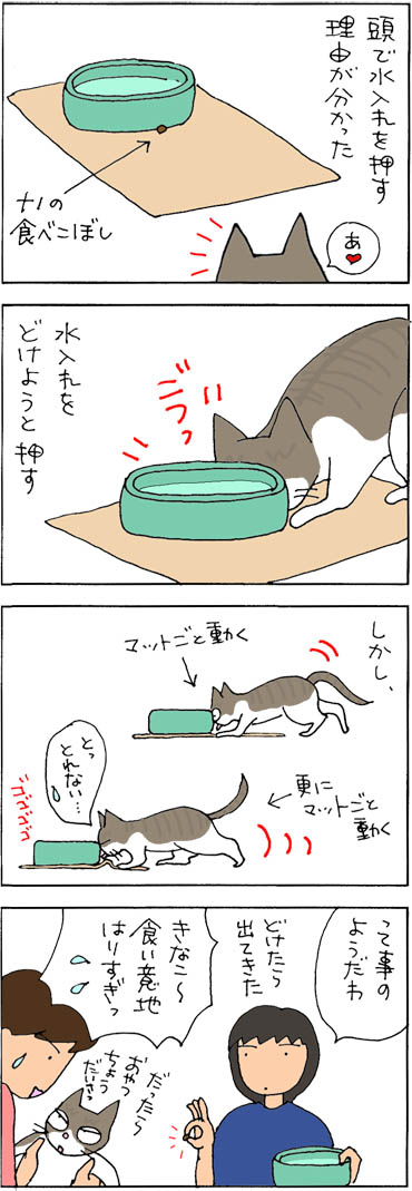 水入れが移動する理由の猫漫画
