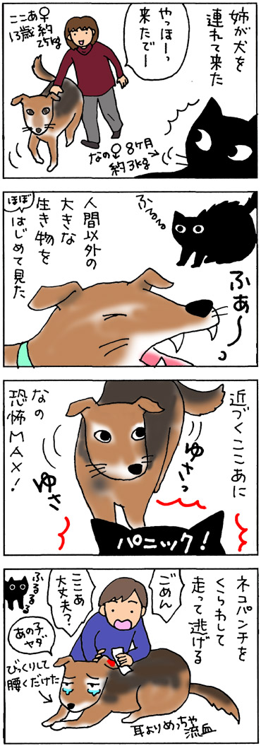 犬にネコパンチする猫の4コマ猫漫画