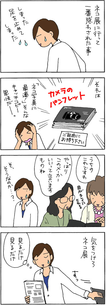 カメラが欲しくなる4コマ猫漫画