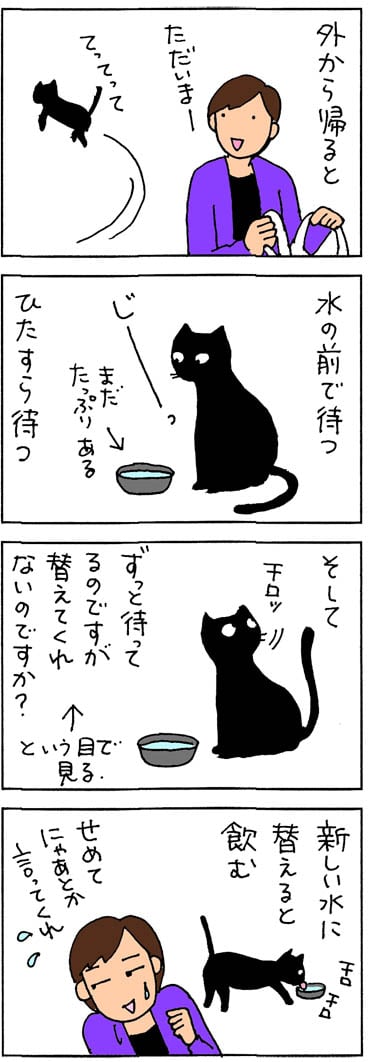 黙って水が変わるのを待つネコの4コマ猫漫画