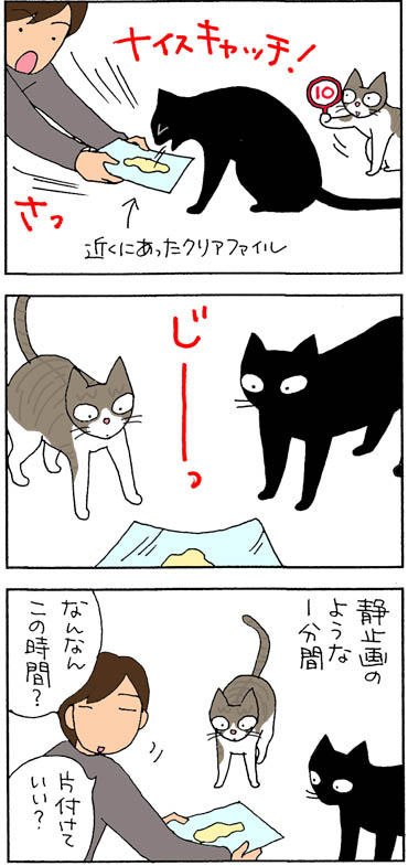 吐いて固まる猫の4コマ漫画