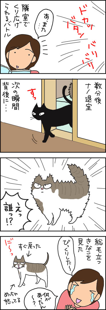 膨れるネコの4コマ猫漫画