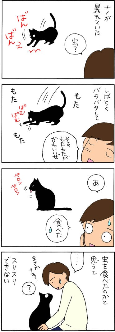 蜘蛛を食べたかもしれない猫の4コマ漫画