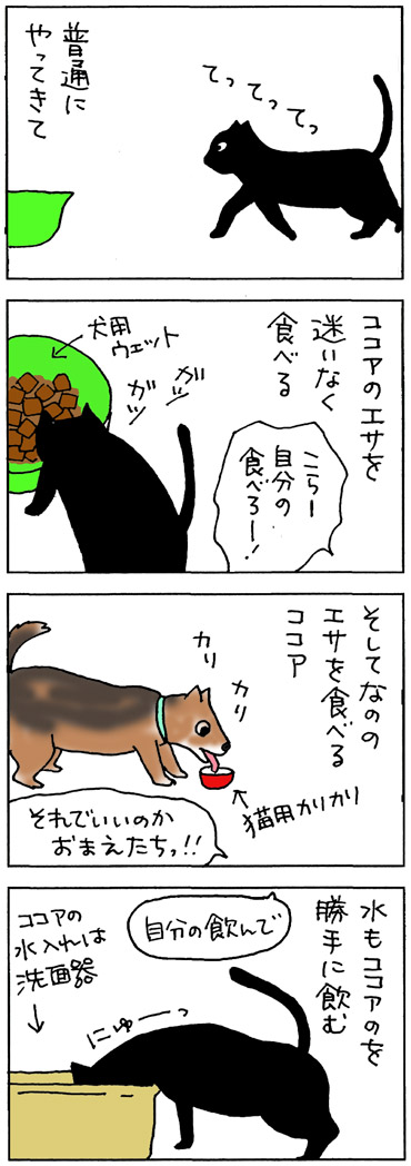 犬のエサを食べる猫の4コマ猫漫画