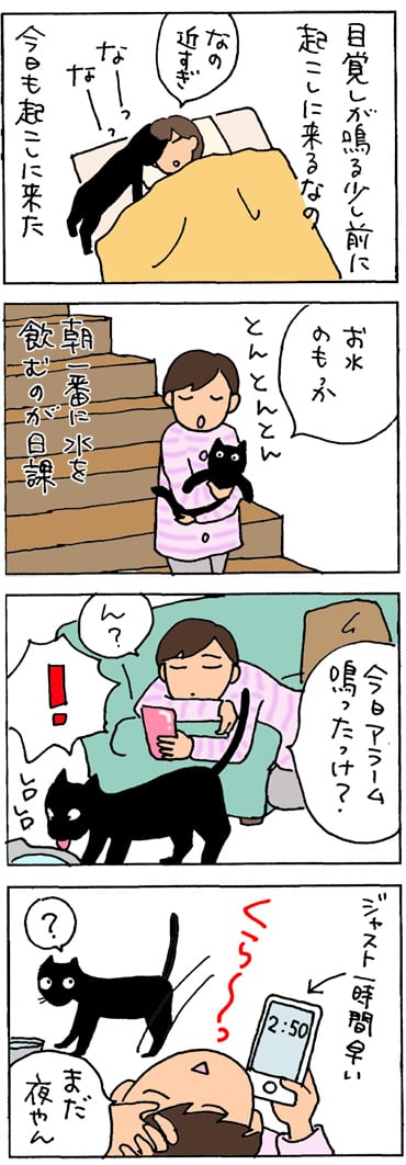 時間を間違えた4コマ猫漫画