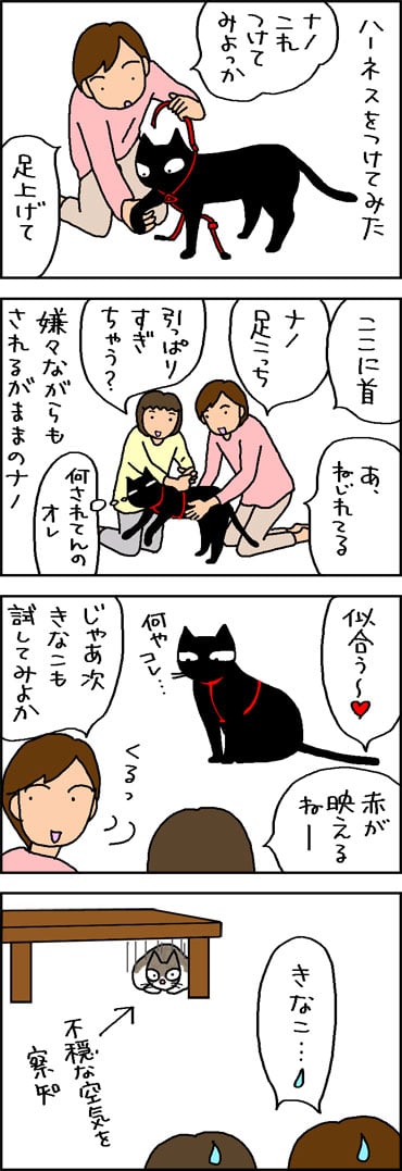 猫にハーネスをつける４コマ猫漫画