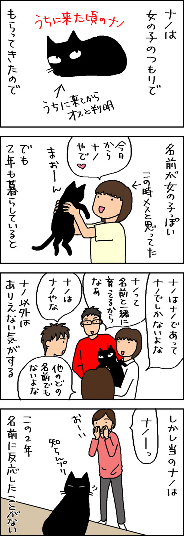 名前を呼んでも知らん顔のネコの4コマ猫漫画