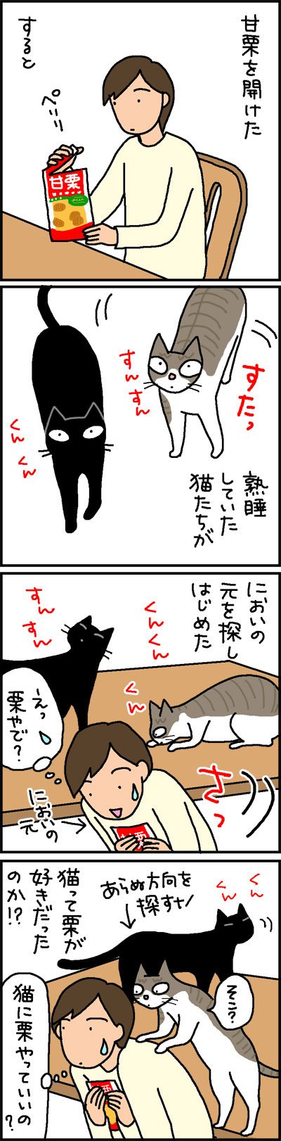 甘栗にたかる猫の4コマ猫漫画