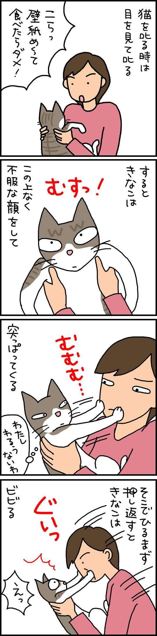 叱られる猫の4コマ猫漫画