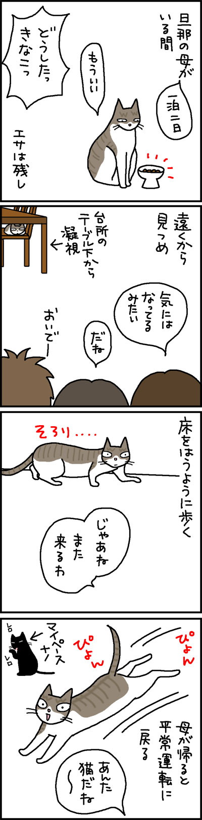 見かけない人が来た時のネコの反応の4コマネコ漫画