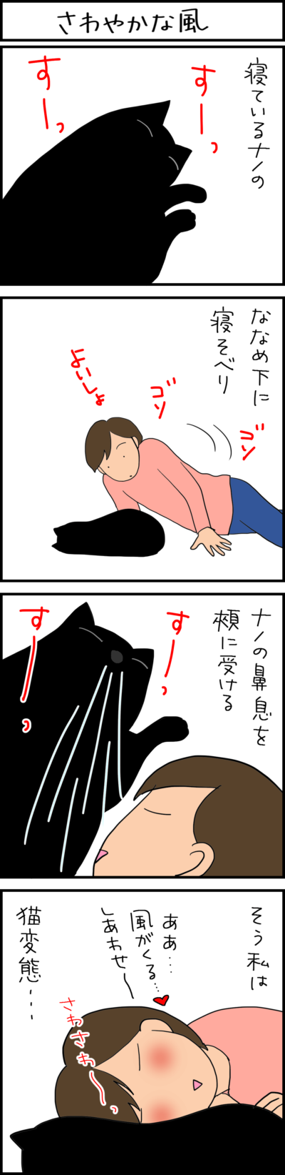 こんなことが幸せに感じるネコとの暮らしの4コマ猫漫画