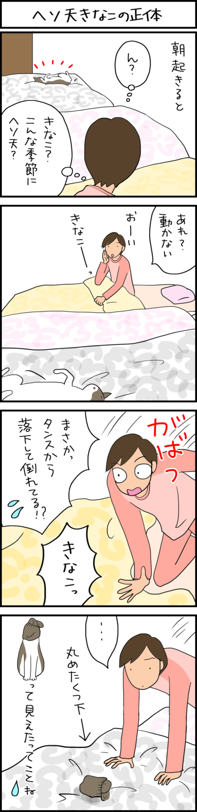 猫と見間違えた4コマ猫漫画