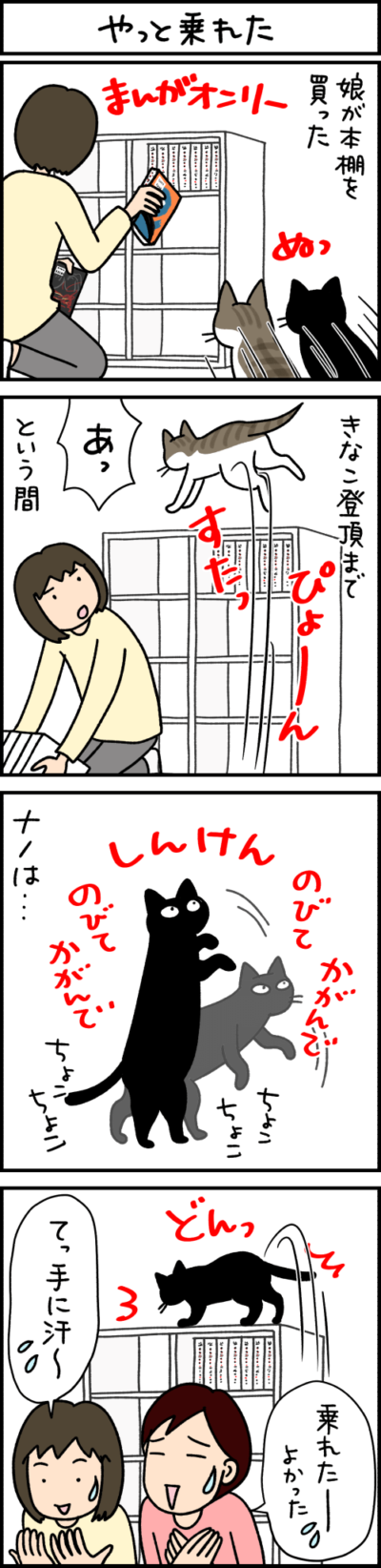 猫漫画