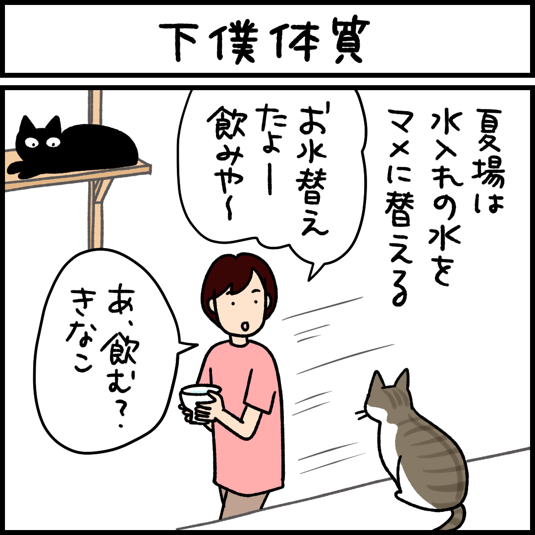 ねこ漫画