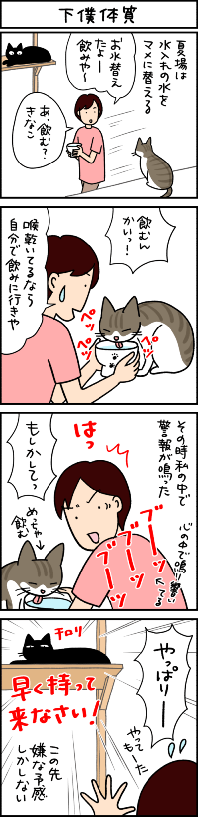 ねこ漫画