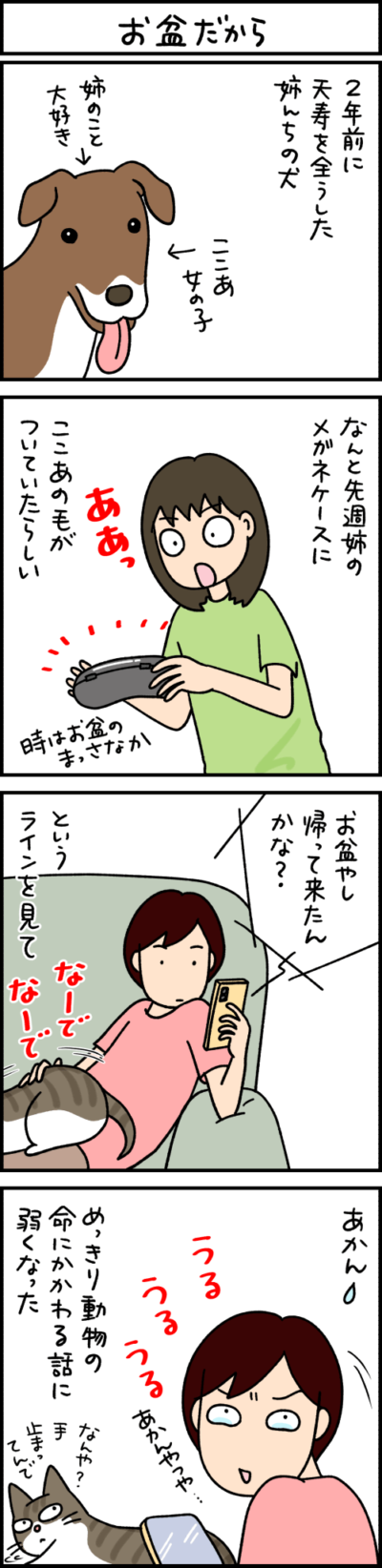 ねこ漫画