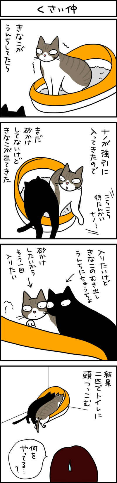 黒猫とキジシロ猫の4コマ猫まんが