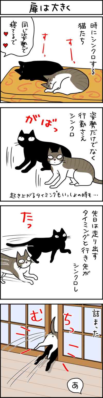 黒猫とキジシロ猫の4コマ漫画