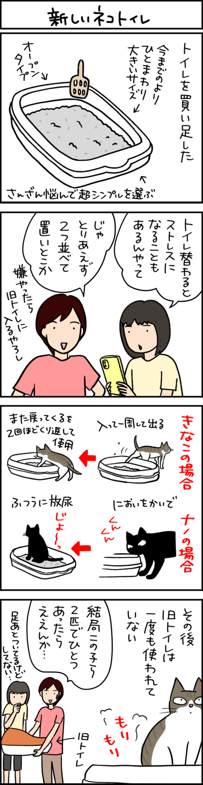 黒猫とキジシロ猫の4コマ漫画