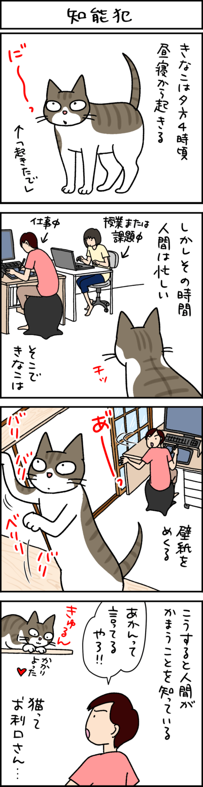 黒猫とキジシロ猫の4コマ猫漫画