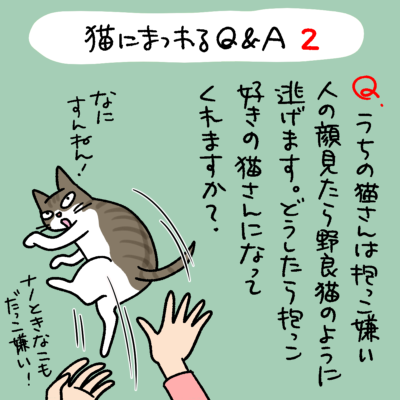 猫に関するQ&A漫画