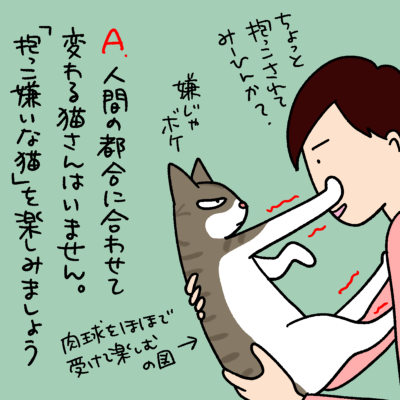 猫に関するQ&A漫画