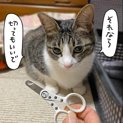 猫壱ストレスなくスパッと切れる猫用爪切りときなこ