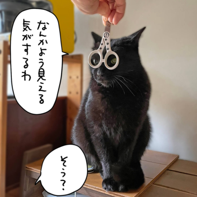 猫壱ストレスなくスパッと切れる猫用爪切りとナノ