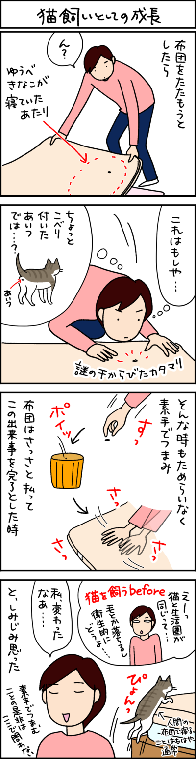 黒猫ナノとキジシロ猫きなこの4コマ猫漫画