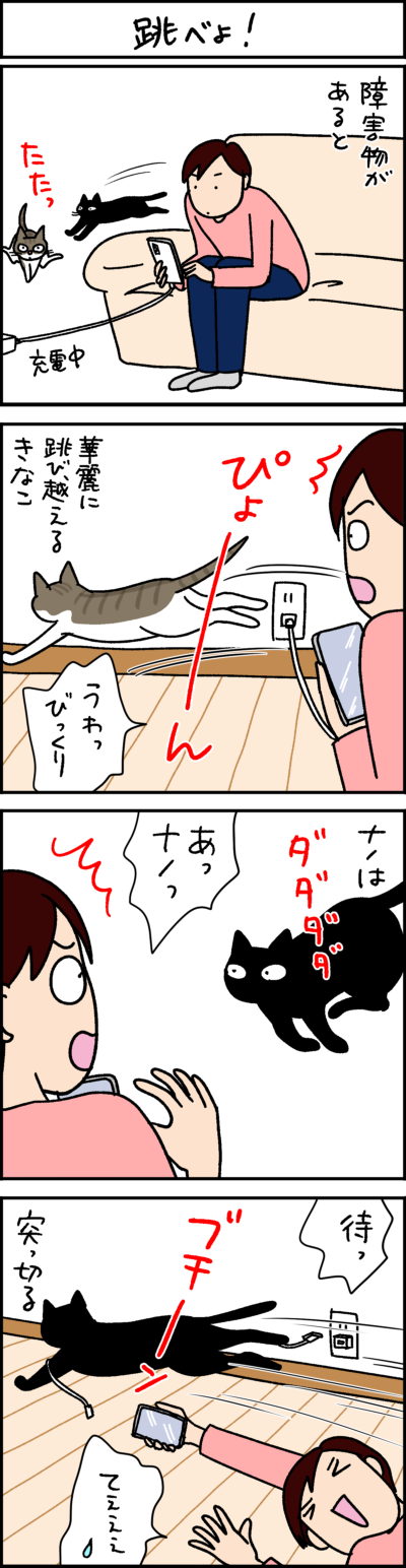 黒猫ナノとキジシロ猫きなこの4コマ猫漫画