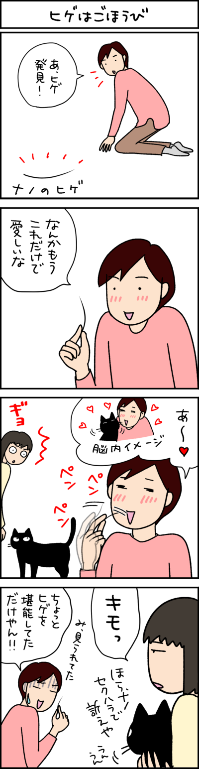 黒猫ナノとキジシロ猫きなこの4コマ猫漫画