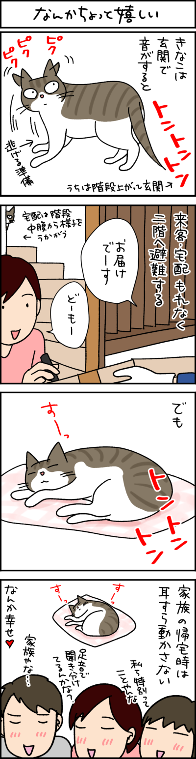 黒猫ナノとキジシロ猫きなこの4コマ猫漫画