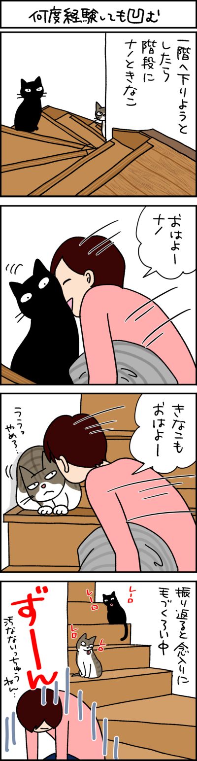 黒猫ナノとキジシロ猫きなこの4コマ猫漫画