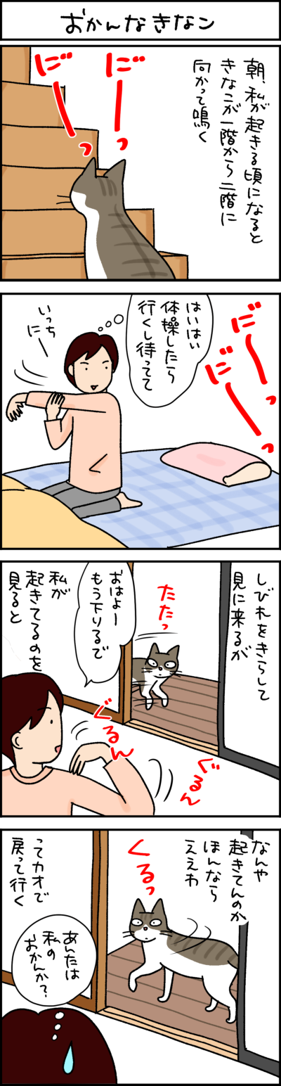 黒猫ナノとキジシロ猫きなこの4コマ猫漫画