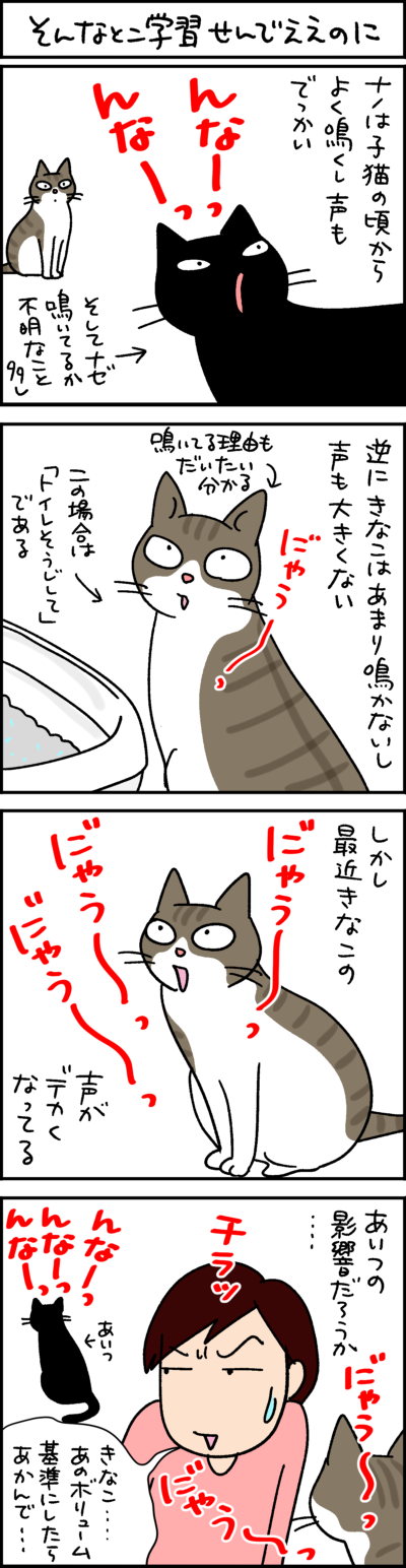 黒猫ナノとキジシロ猫きなこの4コマ猫漫画