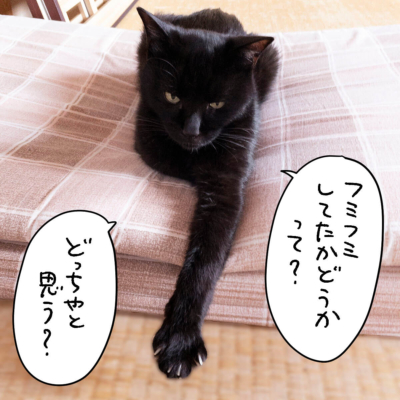 黒猫ナノ