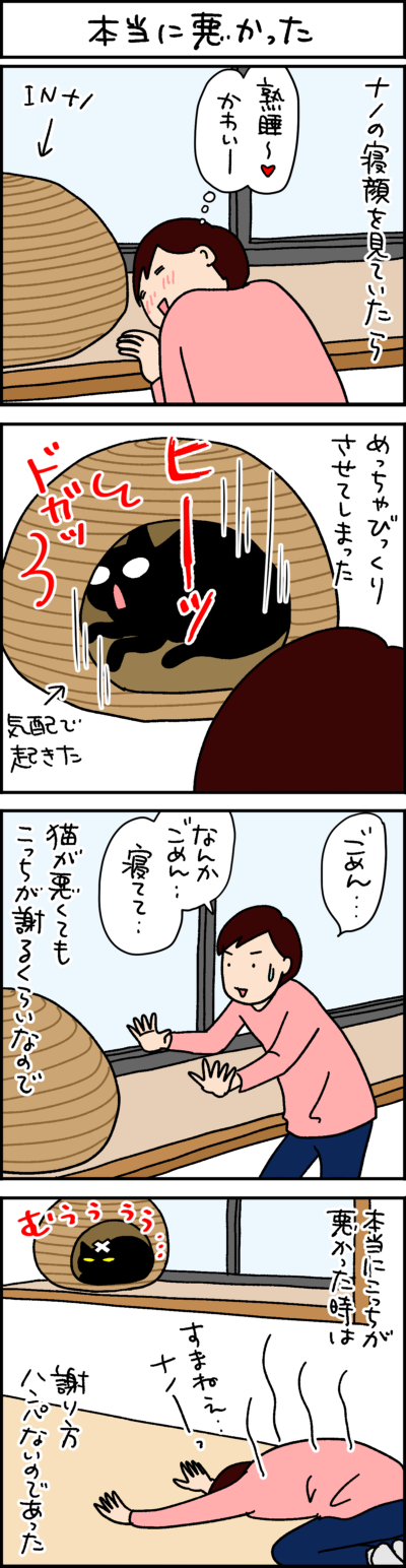 黒猫ナノとキジシロ猫きなこの4コマ猫漫画